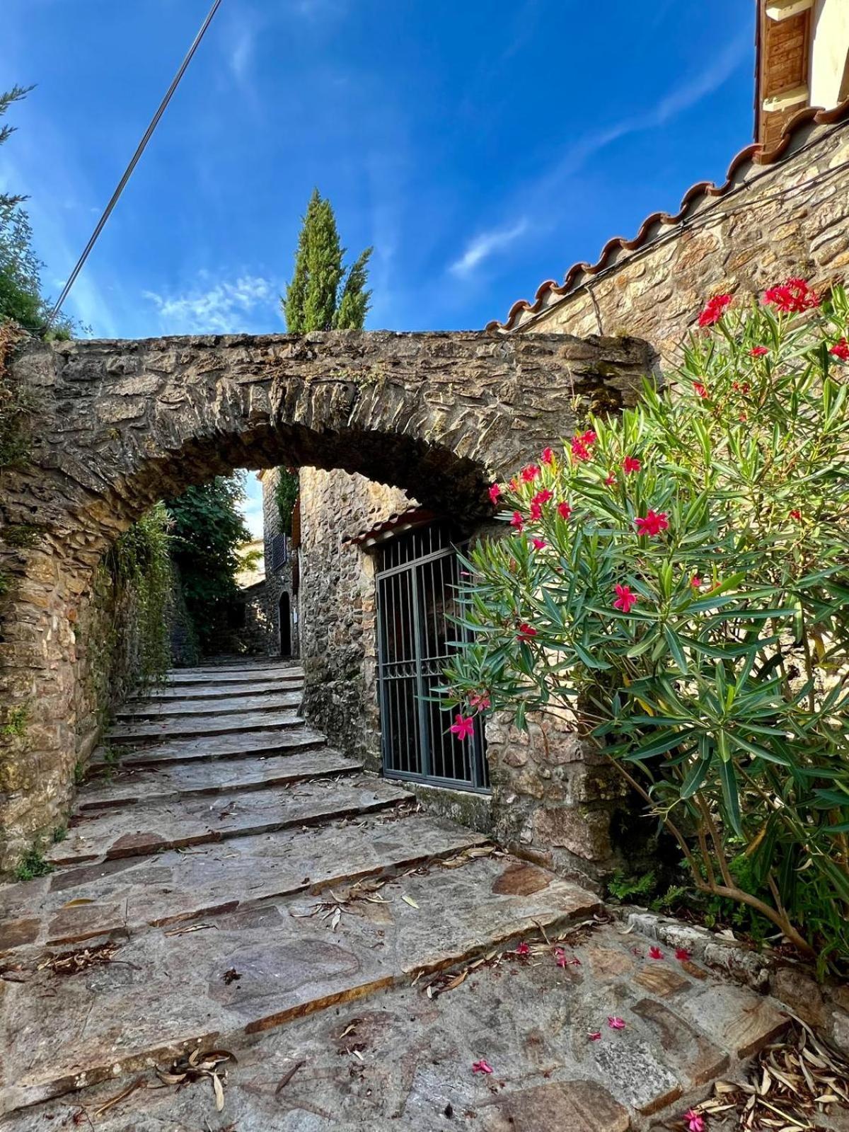 Moulin Gaillard Hotel Bédarieux Kültér fotó