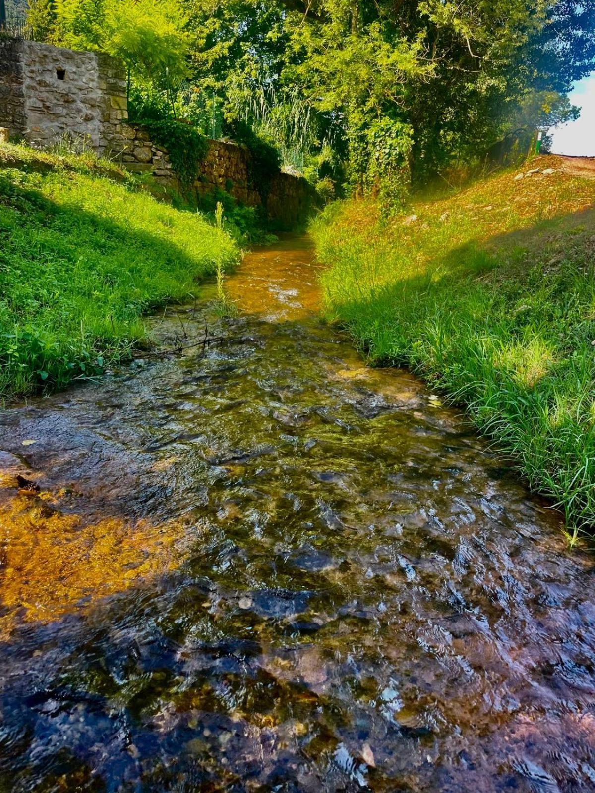 Moulin Gaillard Hotel Bédarieux Kültér fotó